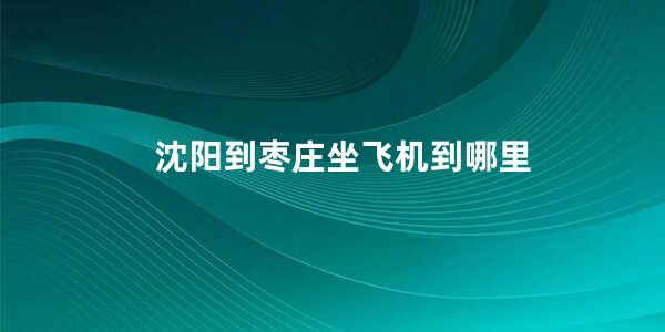 沈阳到枣庄坐飞机到哪里