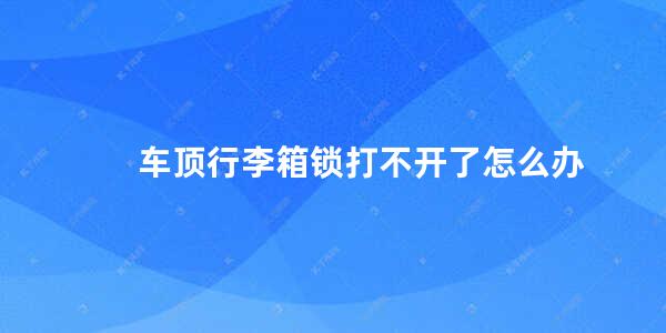 车顶行李箱锁打不开了怎么办