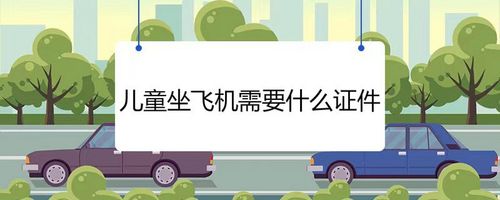 带八个月宝宝乘坐飞机需要什么证件和手续(八个月宝宝坐高铁需要什么证件吗怎么办)