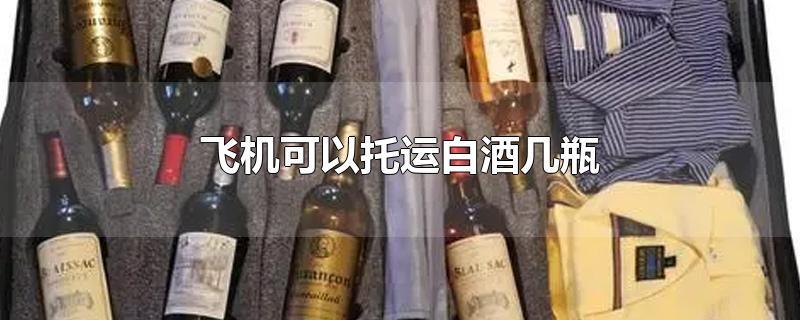 怎样才能带酒上飞机(飞机能带海鲜产品吗)