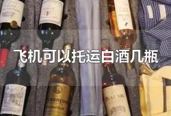 坐飞机每个人可以带多少酒水(乘飞机如何带红酒吗)