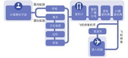 出国坐飞机流程图(狗狗坐飞机托运流程)