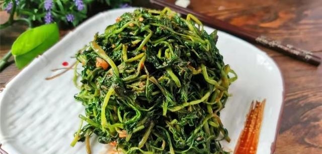 灰菜的家常做法大全(农村常见的6种野菜吃过吗)